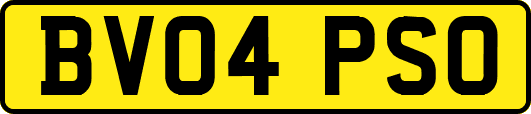 BV04PSO