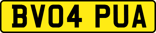 BV04PUA