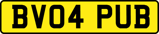 BV04PUB
