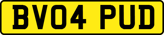 BV04PUD