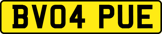 BV04PUE