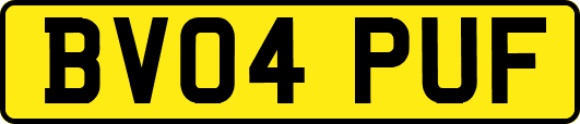 BV04PUF