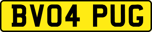 BV04PUG