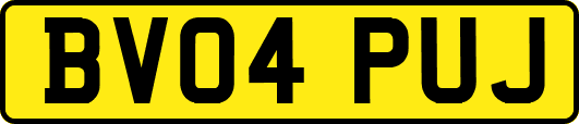 BV04PUJ