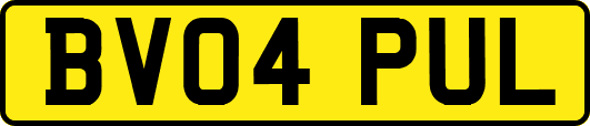 BV04PUL