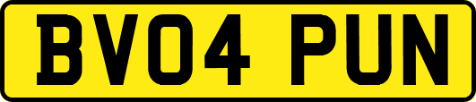 BV04PUN