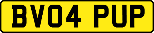 BV04PUP
