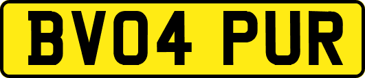 BV04PUR