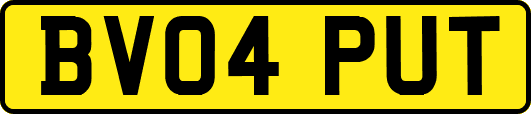 BV04PUT