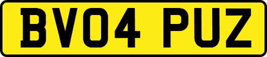 BV04PUZ
