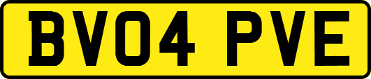 BV04PVE