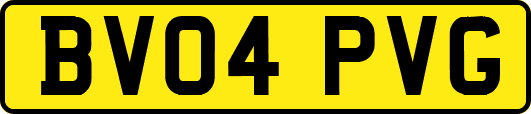 BV04PVG