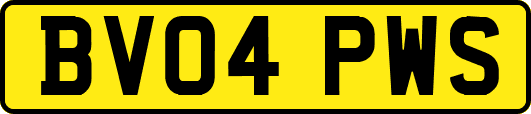 BV04PWS
