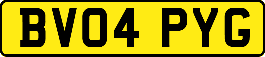 BV04PYG