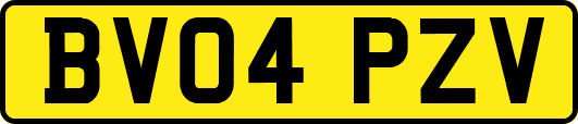 BV04PZV