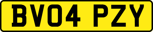 BV04PZY
