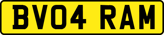 BV04RAM
