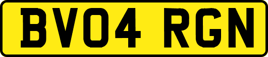 BV04RGN