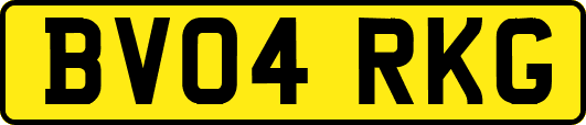 BV04RKG