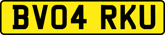 BV04RKU