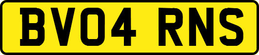 BV04RNS