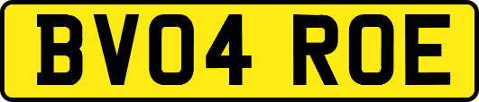 BV04ROE