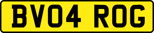 BV04ROG