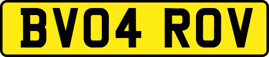 BV04ROV