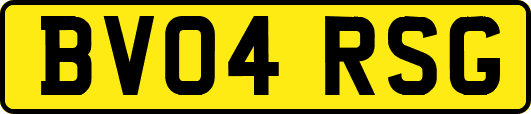 BV04RSG
