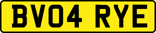 BV04RYE