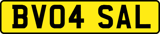 BV04SAL