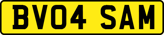 BV04SAM