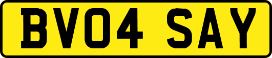 BV04SAY