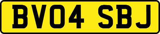BV04SBJ