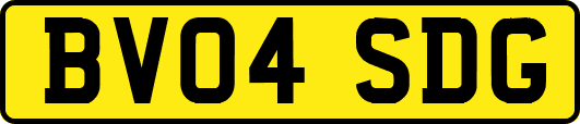 BV04SDG