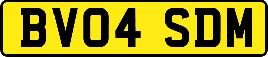 BV04SDM