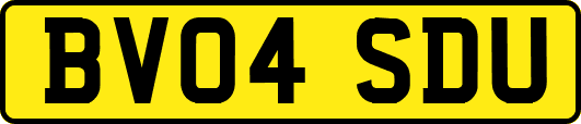 BV04SDU