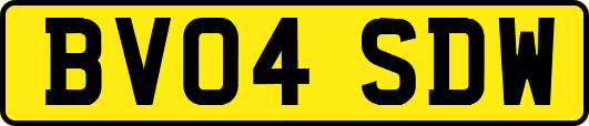 BV04SDW