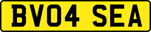 BV04SEA