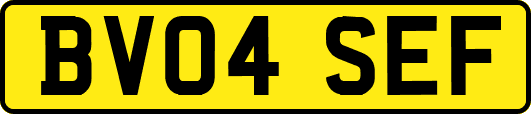 BV04SEF