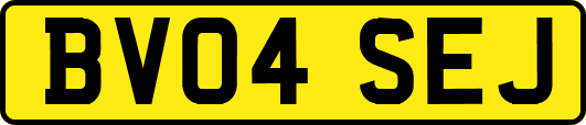 BV04SEJ