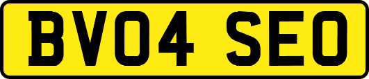 BV04SEO