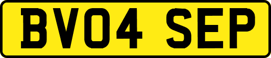 BV04SEP