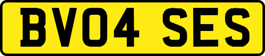 BV04SES