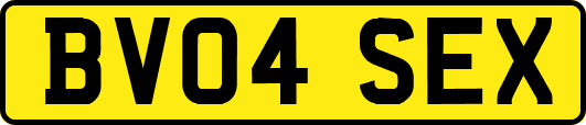 BV04SEX