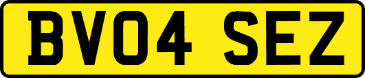 BV04SEZ