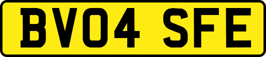 BV04SFE