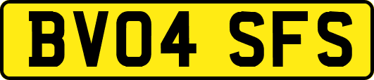 BV04SFS
