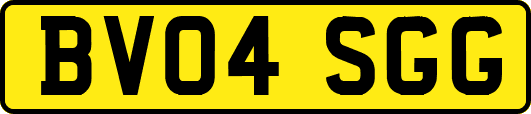 BV04SGG