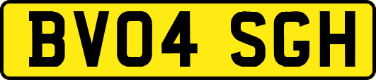 BV04SGH
